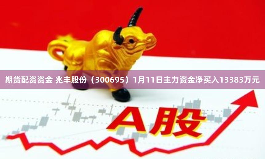 期货配资资金 兆丰股份（300695）1月11日主力资金净买入13383万元