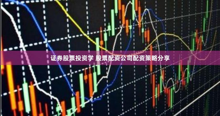 证券股票投资学 股票配资公司配资策略分享